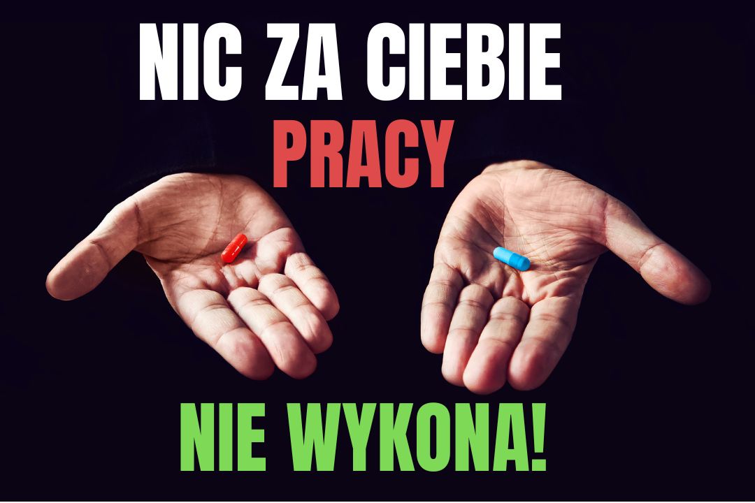 Poradnik na lepszy START – 2023! część 5.